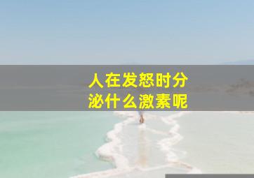 人在发怒时分泌什么激素呢