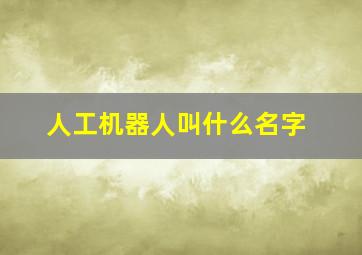 人工机器人叫什么名字