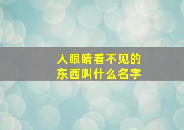 人眼睛看不见的东西叫什么名字