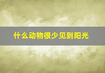 什么动物很少见到阳光