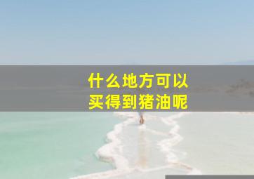 什么地方可以买得到猪油呢