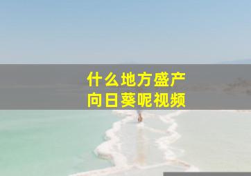 什么地方盛产向日葵呢视频