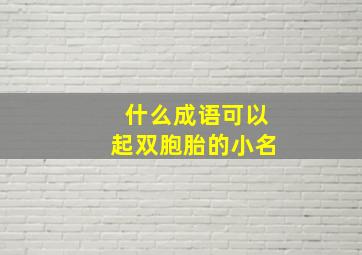 什么成语可以起双胞胎的小名