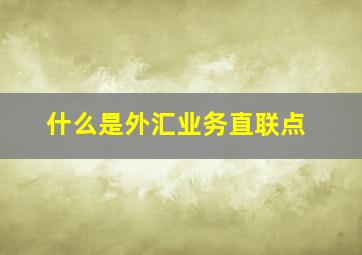 什么是外汇业务直联点