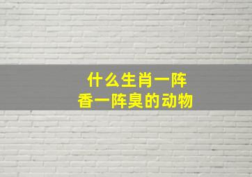 什么生肖一阵香一阵臭的动物