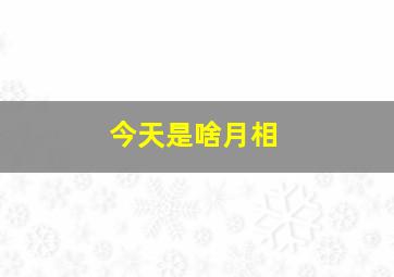 今天是啥月相