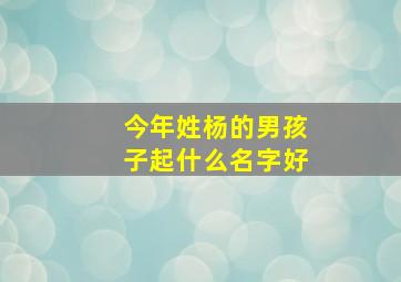 今年姓杨的男孩子起什么名字好