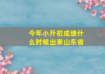 今年小升初成绩什么时候出来山东省