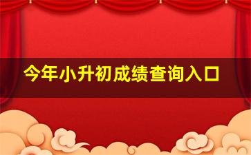 今年小升初成绩查询入口