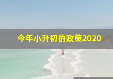 今年小升初的政策2020