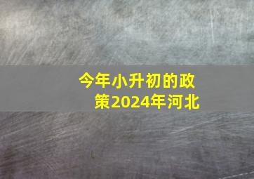 今年小升初的政策2024年河北