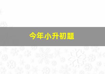 今年小升初题