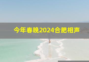 今年春晚2024合肥相声