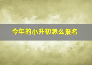 今年的小升初怎么报名