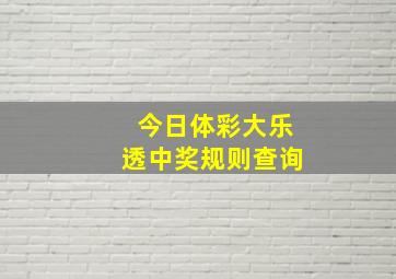 今日体彩大乐透中奖规则查询