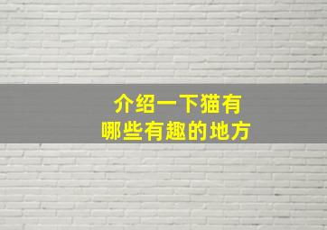 介绍一下猫有哪些有趣的地方