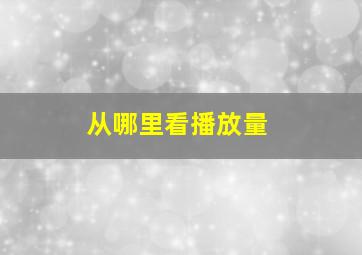 从哪里看播放量