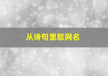 从诗句里取网名