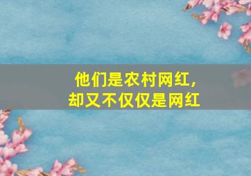 他们是农村网红,却又不仅仅是网红