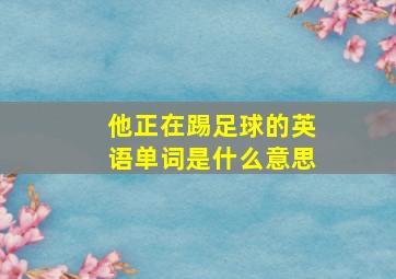 他正在踢足球的英语单词是什么意思