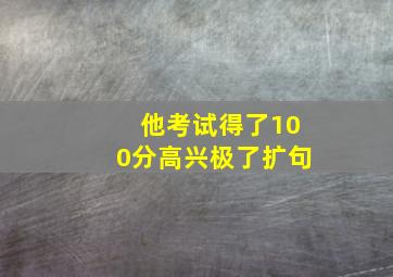 他考试得了100分高兴极了扩句