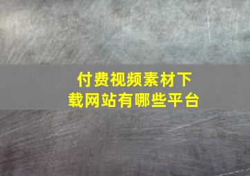 付费视频素材下载网站有哪些平台