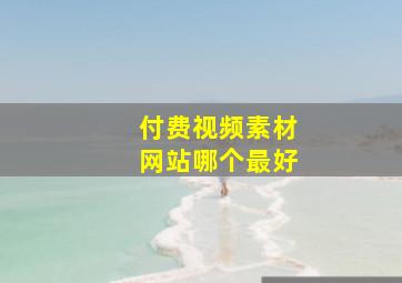 付费视频素材网站哪个最好