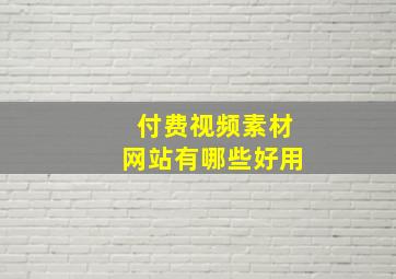 付费视频素材网站有哪些好用