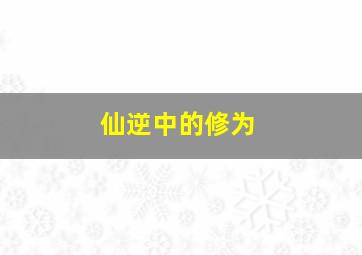 仙逆中的修为