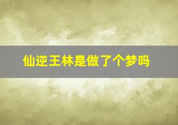 仙逆王林是做了个梦吗