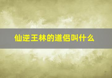 仙逆王林的道侣叫什么