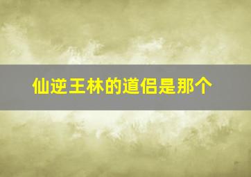 仙逆王林的道侣是那个