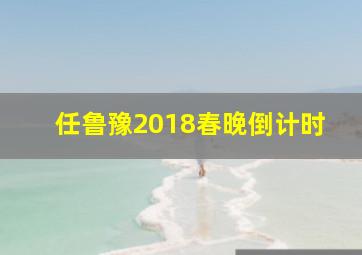 任鲁豫2018春晚倒计时