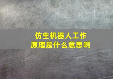 仿生机器人工作原理是什么意思啊