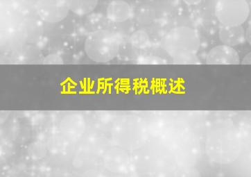 企业所得税概述