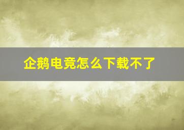 企鹅电竞怎么下载不了