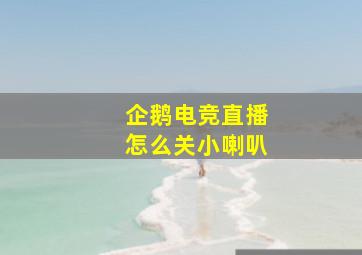 企鹅电竞直播怎么关小喇叭