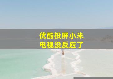 优酷投屏小米电视没反应了