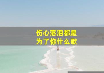 伤心落泪都是为了你什么歌