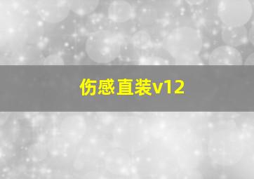 伤感直装v12