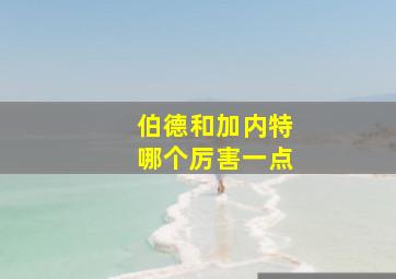 伯德和加内特哪个厉害一点