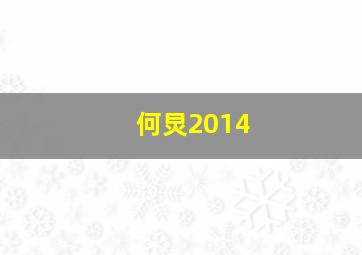 何炅2014