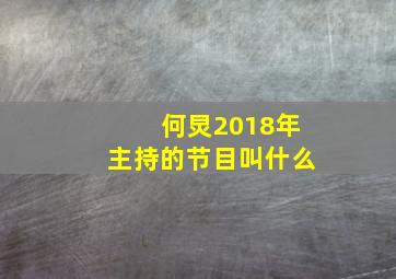 何炅2018年主持的节目叫什么