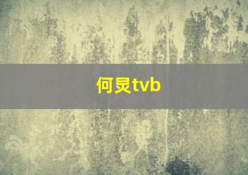 何炅tvb