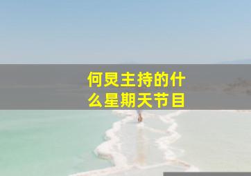 何炅主持的什么星期天节目