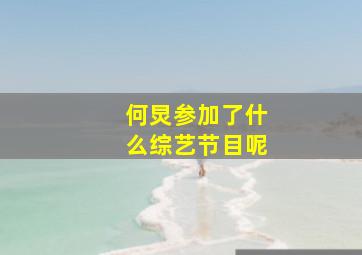 何炅参加了什么综艺节目呢