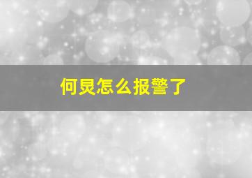 何炅怎么报警了