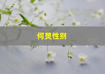 何炅性别