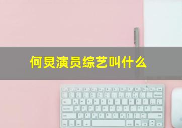 何炅演员综艺叫什么