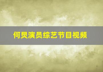 何炅演员综艺节目视频